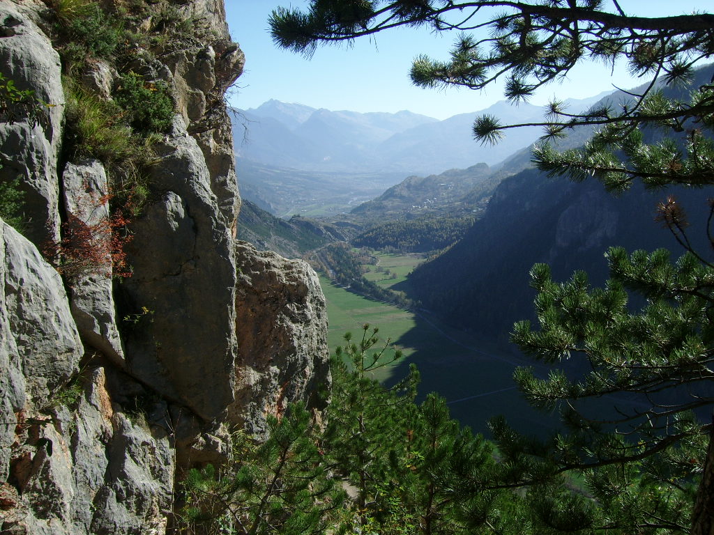 Digimax A50 / KENOX Q2